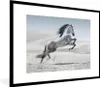 MuchoWow® Gerahmtes Poster Pferd - Tiere - Sand - Natur Produktbild-Vorschau 1