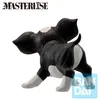 Banpresto - Figuur van Iggy (5 cm) uit JoJo's Bizarre Productafbeelding-voorbeeld 5