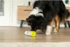 TRIXIE Dog Activity Snack Roll Intelligenzspielzeug ø 6 / ø Produktbild-Vorschau 12