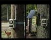 Fotopułapka z akumulatorem Reolink Camovue Talon Series Anteprima dell’immagine prodotto 8