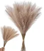 Erba della pampa artificiale 20 pezzi fronde di canna Anteprima dell’immagine prodotto 4