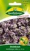 Quedlinburger Saatgut - Steinkraut Violettkönigin - Samen - Produktbild-Vorschau 3