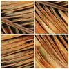 Bilder auf glas - Einteilig - Orange Blatt Tropisch - Produktbild-Vorschau 8