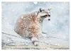 Waschbär - Niedlicher Allesfresser (Wandkalender 2027 DIN Produktbild-Vorschau 14
