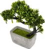 Künstliche Bonsai-Pflanze im modernen Betontopf – Produktbild-Vorschau 1