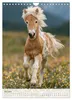 Stolze Haflinger Pferde (Wandkalender 2027 DIN A4 hoch), Produktbild-Vorschau 5