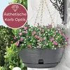 Blumenampel Blumentopf Hängend Hängeblumentopf Pflanzschale Produktbild-Vorschau 3