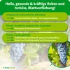 Purgrün -Weinreben-Dünger 1 Liter, Produktbild-Vorschau 3