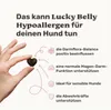 mammaly Lucky Belly Hundesnacks – 9-in-1 Probiotika Drops Produktbild-Vorschau 3