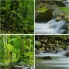 Bild auf Leinwand - Leinwandbild - Stream Wald Natur - Produktbild-Vorschau 8