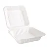 Fiesta Compostable Kompostierbare Menüboxen Aus Bagasse Mit Produktbild-Vorschau 2