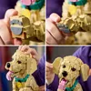 LEGO Icons Golden Retriever Welpe - Modellbau für Produktbild-Vorschau 5