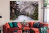 MuchoWow® Poster Kirschblüten über dem Shirakawa-Fluss bei Produktbild-Vorschau 2