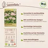 Samenliebe  Buchweizen Samen | Gründünger & Bienenpflanze - Produktbild-Vorschau 3