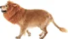 A dog wearing a lion's mane costume, standing against a white background. Produktbild-Vorschau