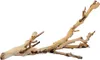 Hagen Exo Terra Ramo della foresta grande 60 cm Anteprima dell’immagine prodotto 2