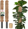 KOTARBAU® Sada 2 mechových tyčí pro Monstera Coconut Náhled obrázku produktu 1