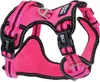 DOOG Neotech Harness Geschirr, Größe:L, Farbe:pink / black Produktbild-Vorschau 2