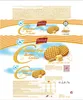 Coppenrath Butter Cookies ohne Zucker 3er Pack (3x200g Produktbild-Vorschau 3