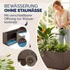 CASARIA® Blumenkasten "Ethica“ 80L 80x36x35cm Ablaufboden Produktbild-Vorschau 4