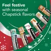 ChapStick | Balsamo per labbra, Protezione antigelo, Anteprima dell’immagine prodotto 4