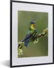 MuchoWow® MuchoWow® Gerahmtes Poster Vogel - Kolibri - Produktbild-Vorschau 1