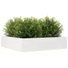 Pflanzkübel Weiß 100x100x23 cm Massivholz Kiefer Produktbild-Vorschau 4