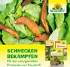 Neudorff Ferramol Schneckenkorn compact 700g für 280m² - Produktbild-Vorschau 7