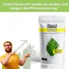 Bio2grow Klee-Mix 250 Gramm - Natürliches Gründüngung Produktbild-Vorschau 5