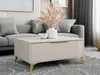 A modern living room scene featuring a coffee table with a drawer and gold metal legs, placed in front of a gray sofa. A vase with dried flowers sits on top of the table. Náhľad obrázku produktu