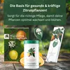 Meine Orangerie Zitrus-Pflegepaket Piccolo: Starker Produktbild-Vorschau 2
