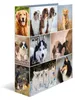 HERMA Motivordner "Animals" DIN A4 Hunde Produktbild-Vorschau 1