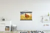 MuchoWow® Textilposter Pferd - Sonne - Gras - Tier 90x60 cm Produktbild-Vorschau 2