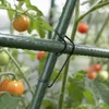Pinces de jardin KADAX Ø 16 mm, lot de 30, attaches en Voir les images du produit 4
