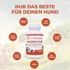 CaniComplete Gelenk Plus für Hunde – Produktbild 3 Produktbild-Vorschau