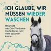 nimo® Waschmittel für Pferdedecken | ohne Duftstoffe & Produktbild-Vorschau 2