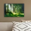 MuchoWow® - Leinwandbilder - Natur - Bäume - Wald - Grün - Produktbild-Vorschau 5
