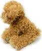 A plush toy dog sitting on a white background. Produktbild-Vorschau