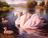 Malen nach Zahlen: Familie Schwäne am Teich, 40x50 cm, mit Produktbild-Vorschau 2