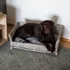 UNUS® Hundebett Hundekorb Hundekörbchen aus Weide eckig mit Produktbild-Vorschau 4