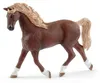 Schleich 42438 Horse Club Washing Area Emily Luna Voir les images du produit 4