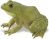 Safari Ltd Amerikanische Ochsenfroschfigur Grün From 3 Produktbild-Vorschau 5