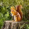KADAX Eekhoornbeeldje, 28 cm, tuinbeeld van gepoedercoat Productafbeelding-voorbeeld 6