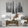 Bild auf Leinwand - Leinwandbild - 3 Teile - Birken Wald Produktbild-Vorschau 6