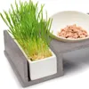 Ersatz-Katzengrasschale · rechteckige Langschale, Keramik · Produktbild-Vorschau 4