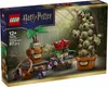LEGO 76474 Harry Potter Schloss Hogwarts? Kräuterk.-Pflanz. Voir les images du produit 2