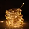 A coiled string of solar-powered LED lights on a dark background. Produktbild-Vorschau