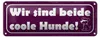 Blechschild Spruch 27x10cm wie sind beide coole Hunde Produktbild-Vorschau 1