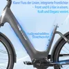 27.5 pouces 20AH E-bike Gris Vélo électrique LCD 75NM Voir les images du produit 17
