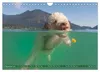 Lagotto Romagnolo, Sonderausgabe (Wandkalender 2027, DIN Produktbild-Vorschau 14